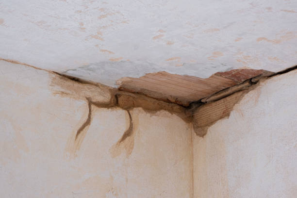 Best Professional water damage repair  in Connellsville, PA