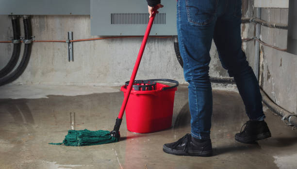 Best Ceiling water damage repair  in Connellsville, PA