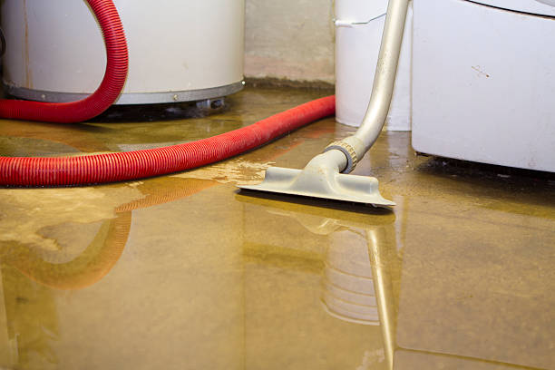 Best Water damage restoration near me  in Connellsville, PA