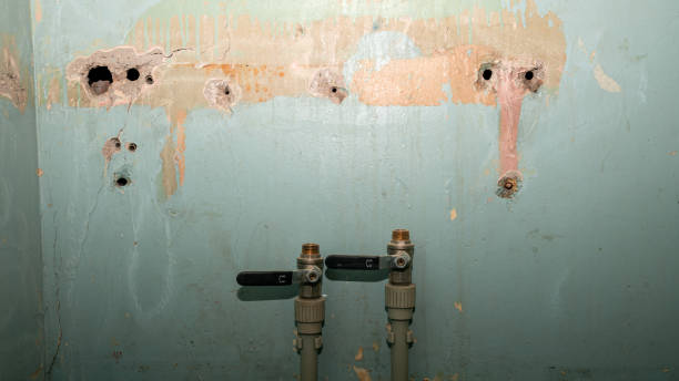 Best 24-hour water damage restoration  in Connellsville, PA