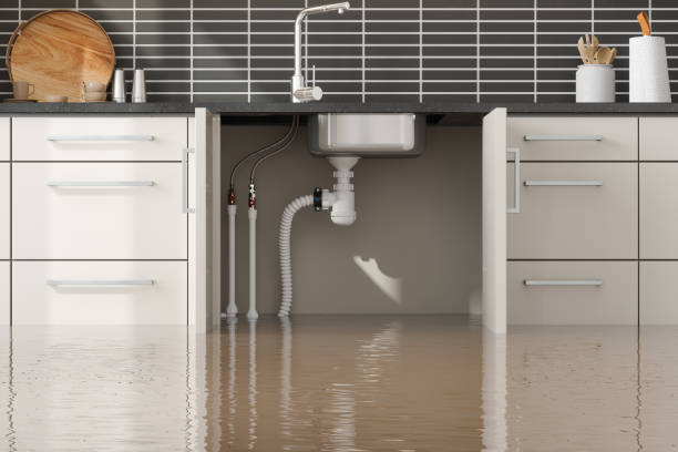 Best Flooded house restoration  in Connellsville, PA