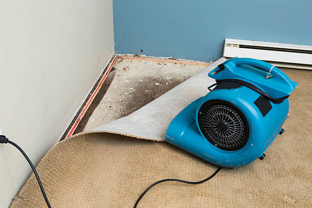 Best Fire Damage Restoration  in Connellsville, PA